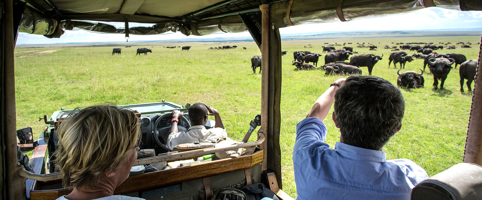 let us know your thoughts about Kenya and we will help you create the perfect safari