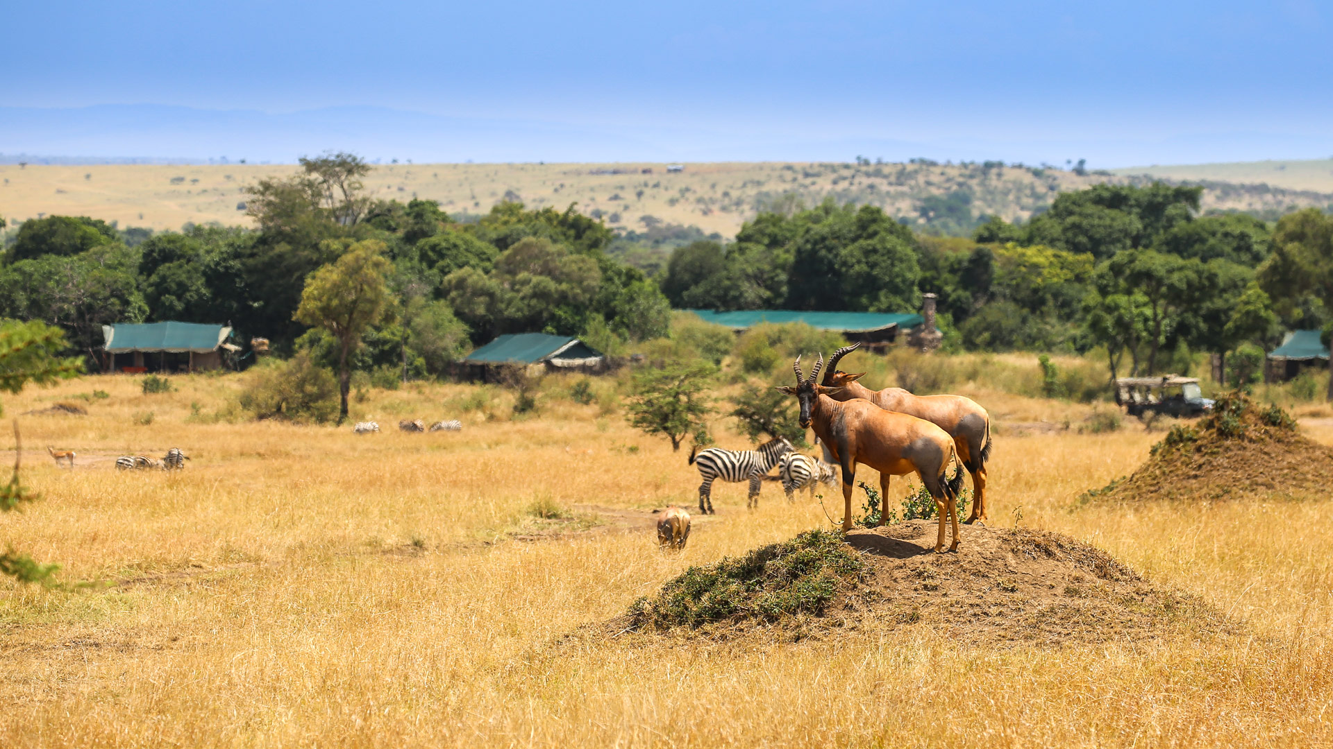 Offbeat Mara Camp