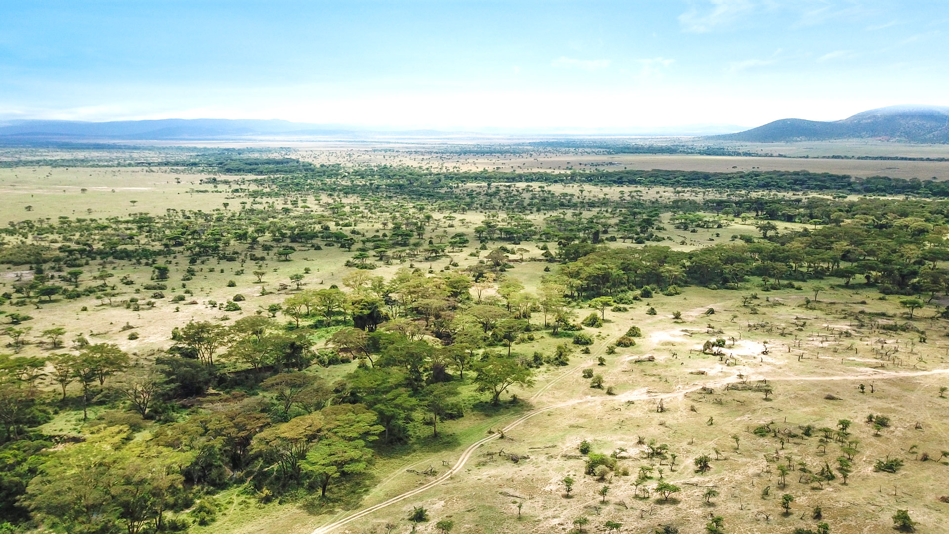 Safari to Mara Ol Kinyei