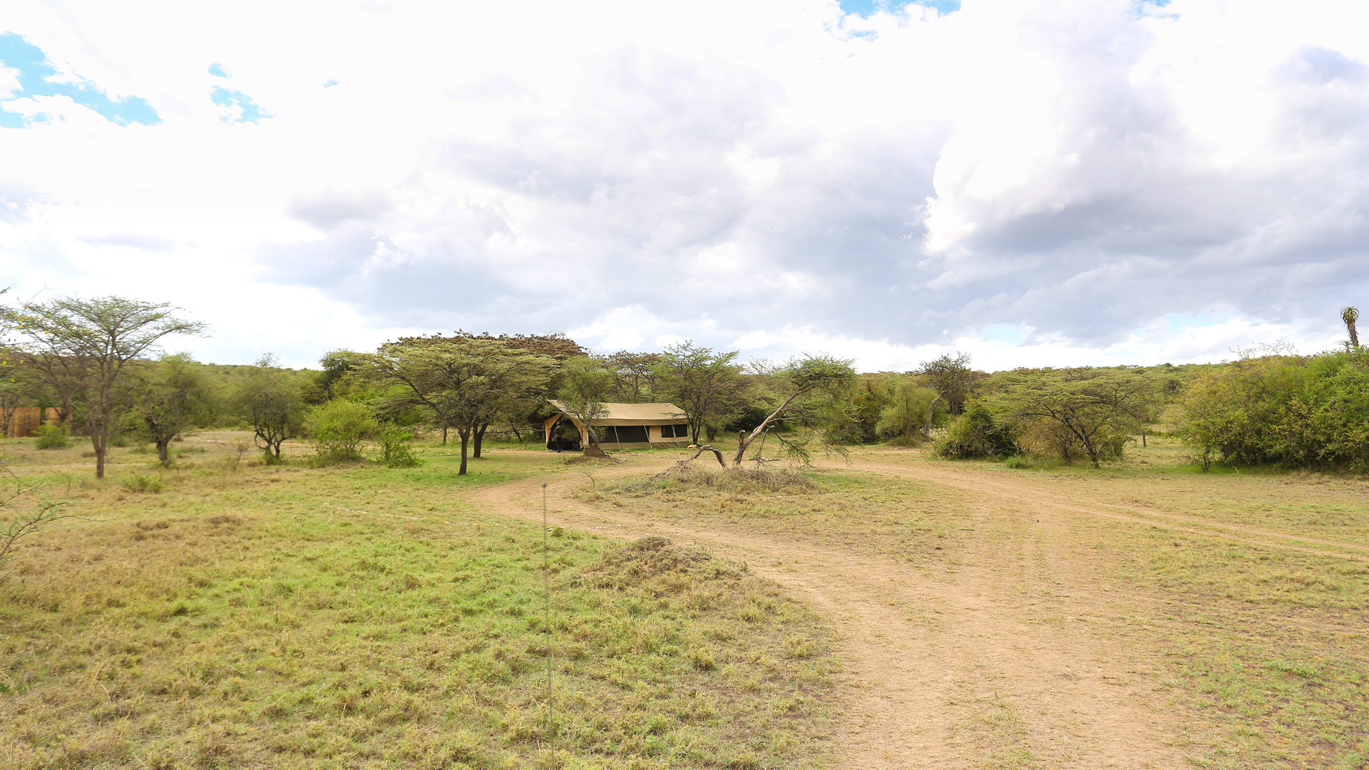 Porini Bush Camp