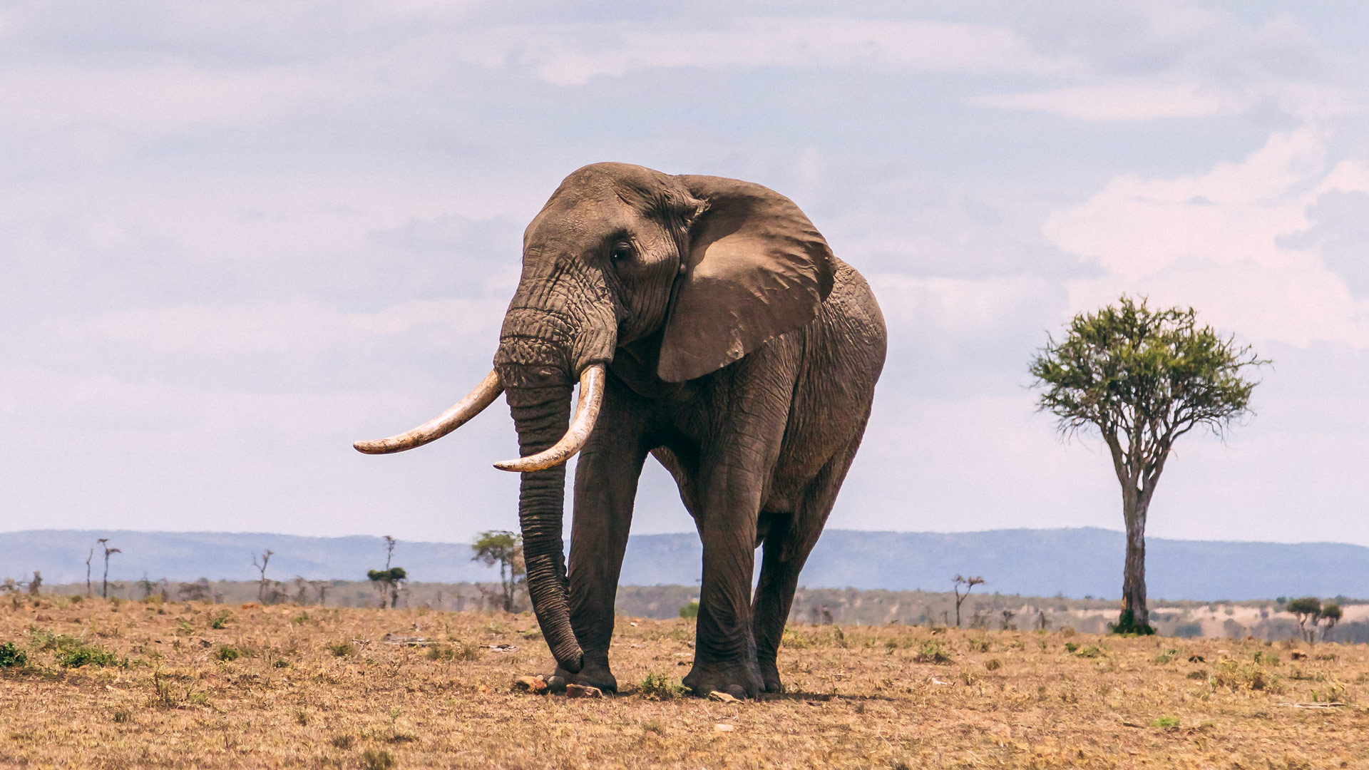 Safari to Mara Ripoi
