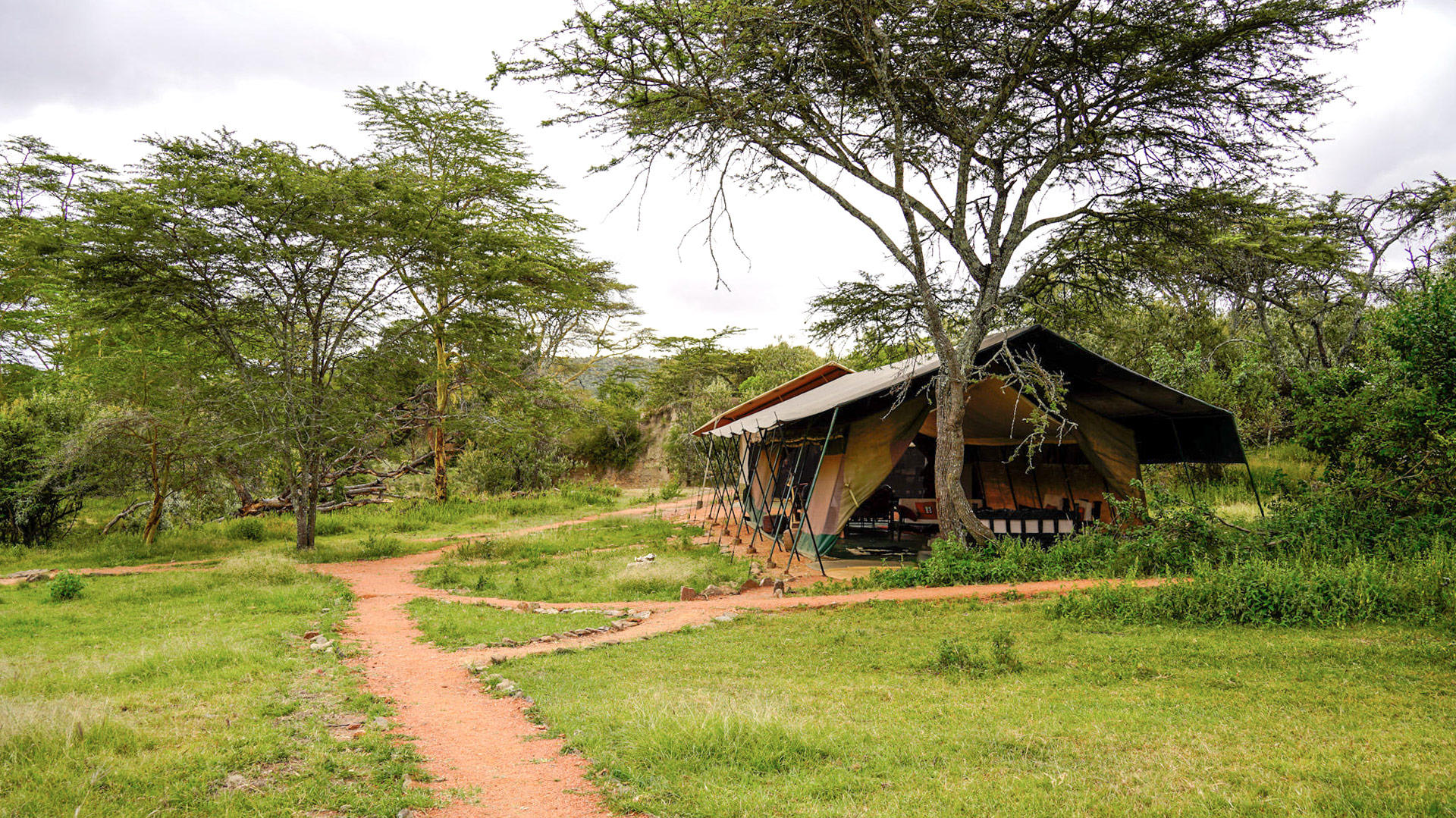 Porini Giraffe Camp