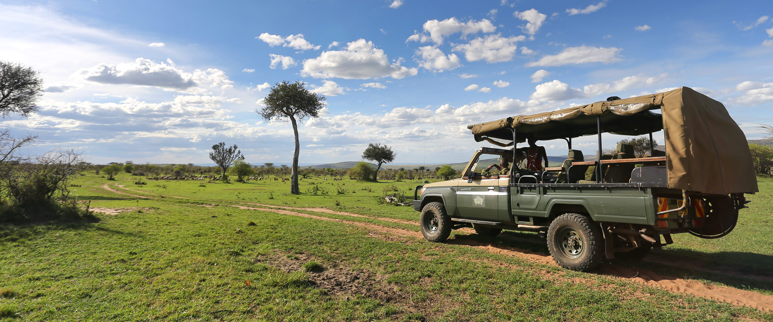 let us know your thoughts about Kenya and we will help you create the perfect safari 