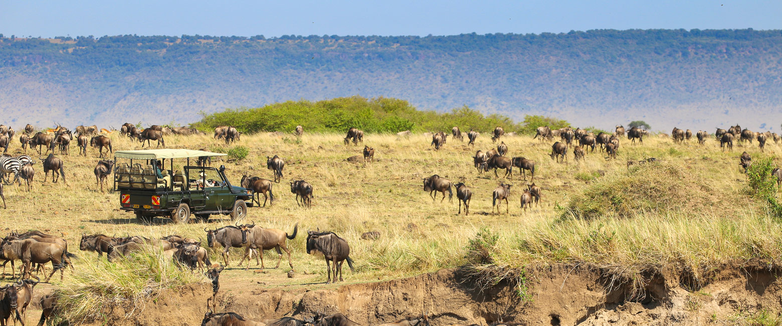 let us know your thoughts about Kenya and we will help you create the perfect safari