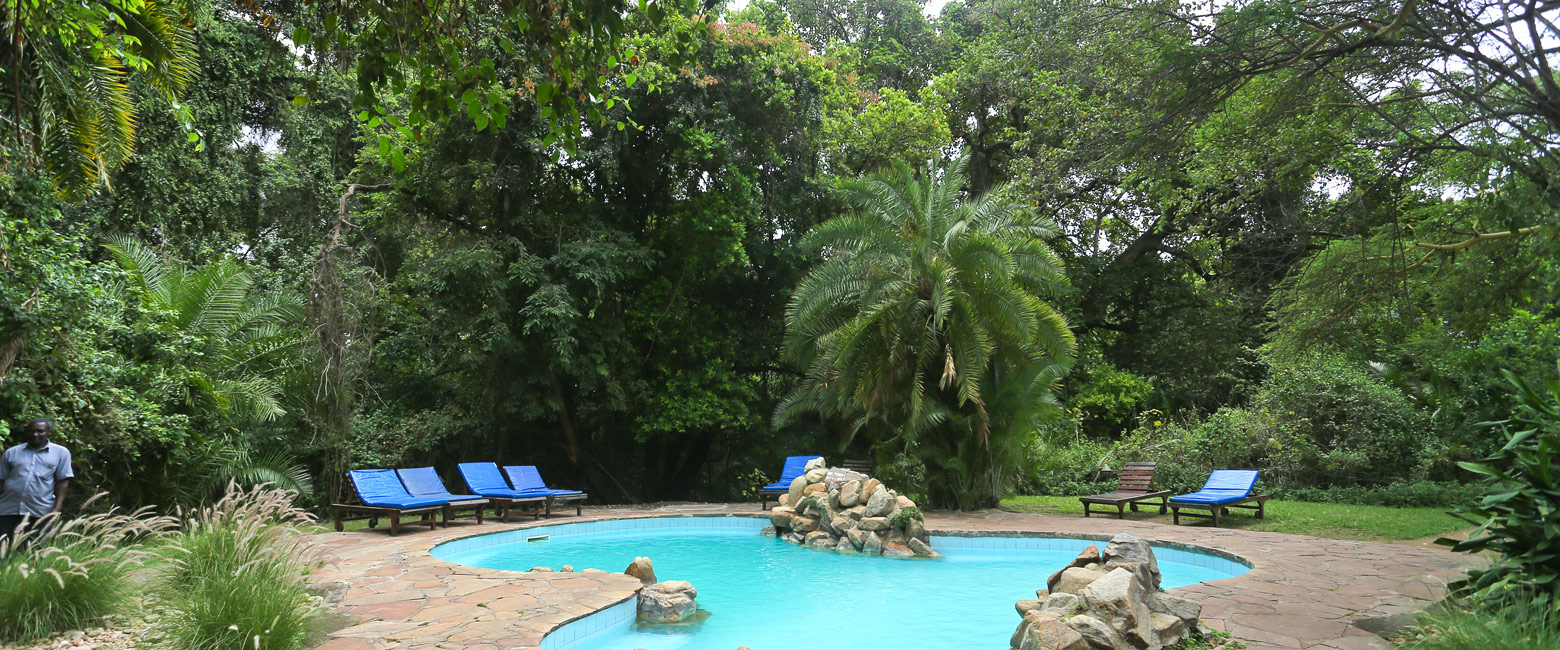 let us know your thoughts about Kenya and we will make sure to deliver the perfect safari 