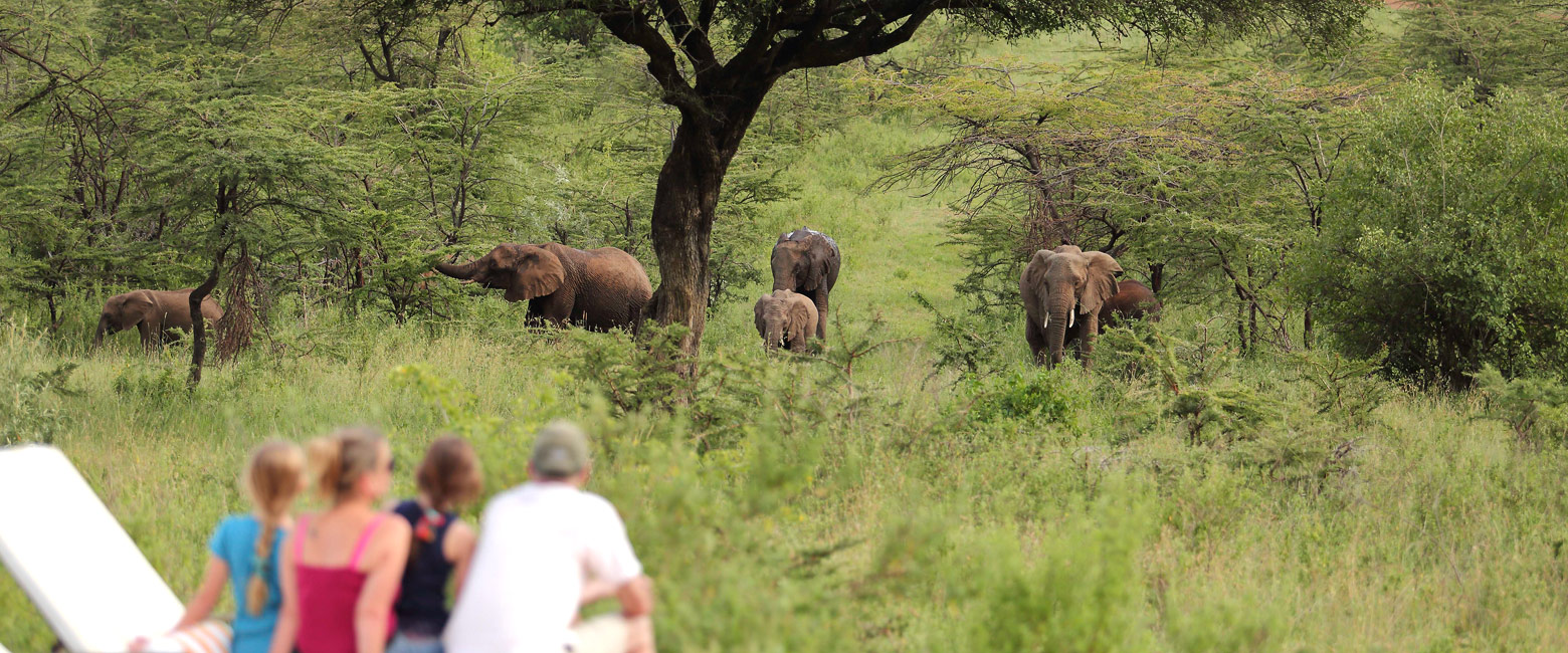 let us know your thoughts about Kenya and we will help you create the perfect safari 