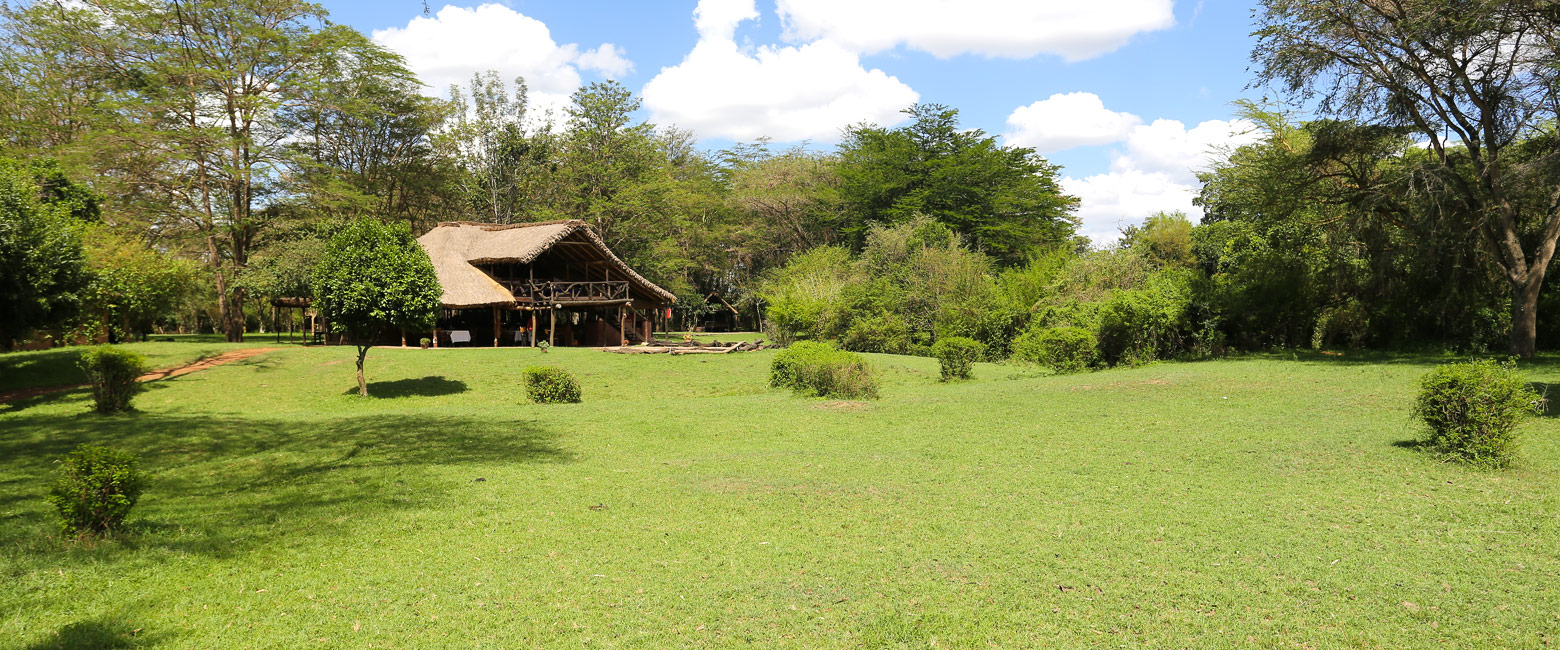 let us know your thoughts about Kenya and we will help you create the perfect safari