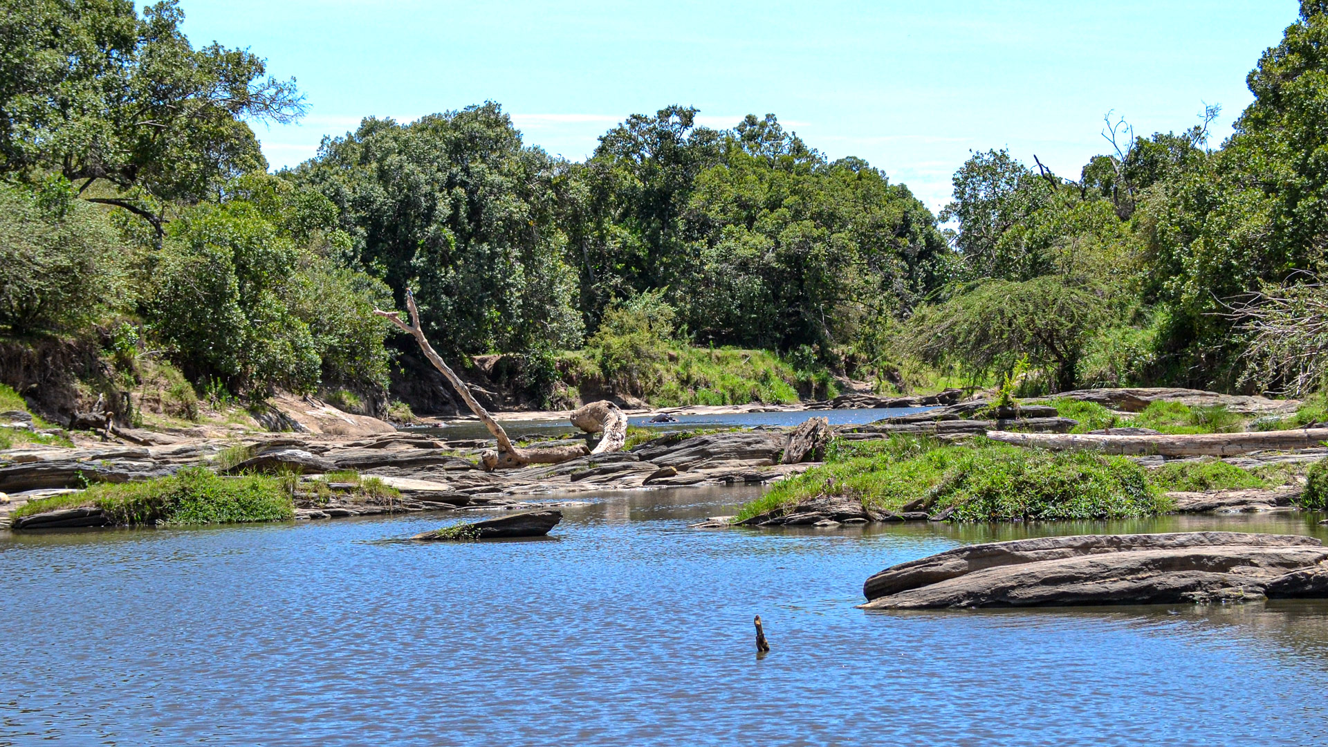 Safari to Mara Talek