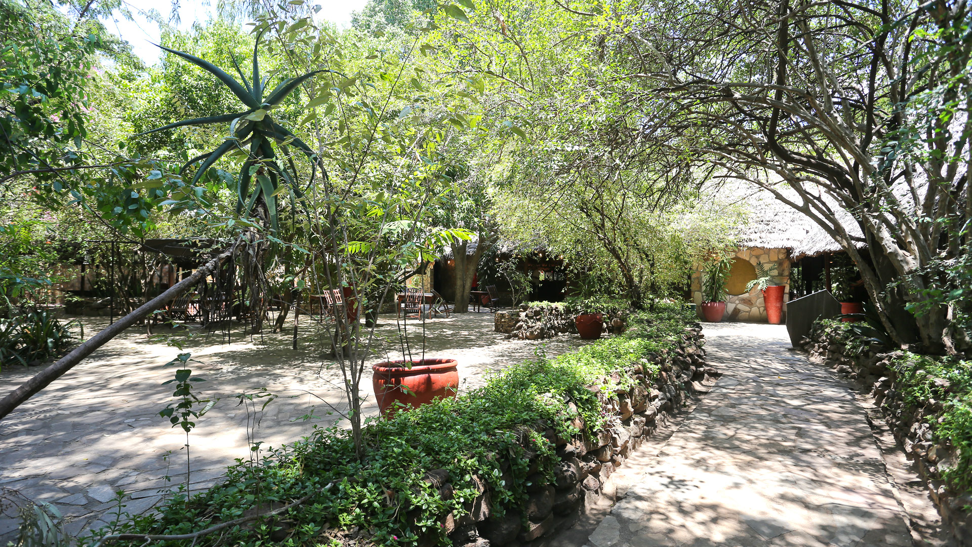 Fig Tree Camp