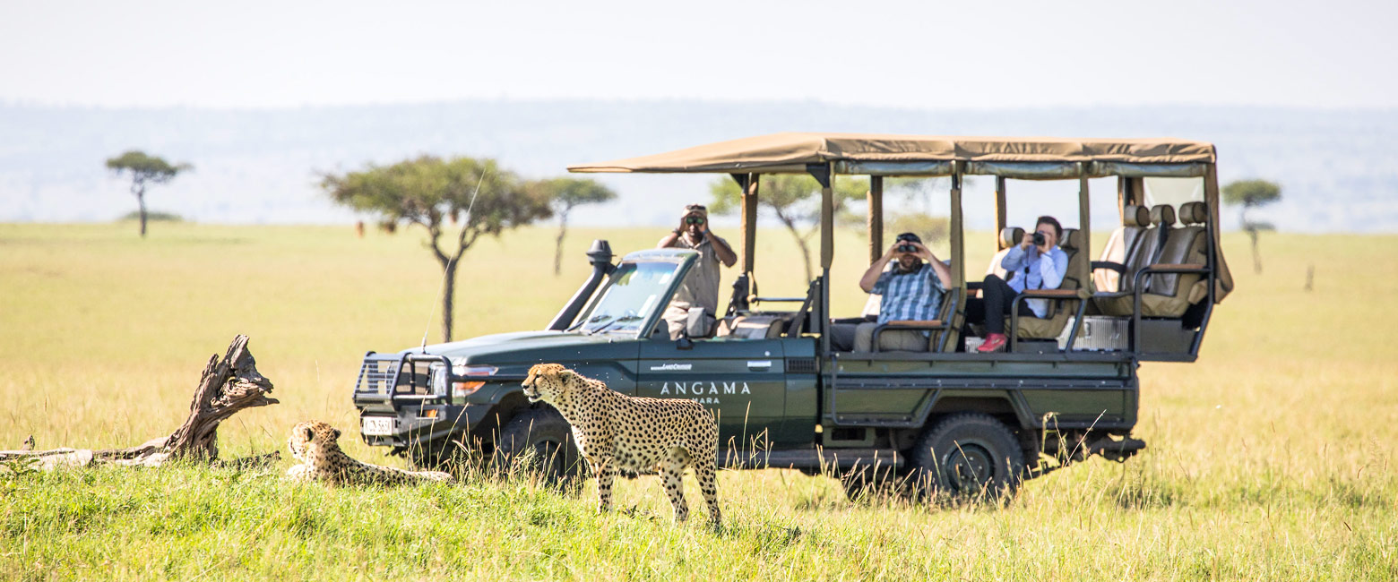 let us know your thoughts about Kenya and we will help you create the perfect safari 