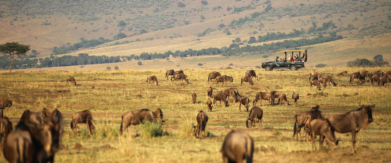 let us know your thoughts about Kenya and we will help you create the perfect safari