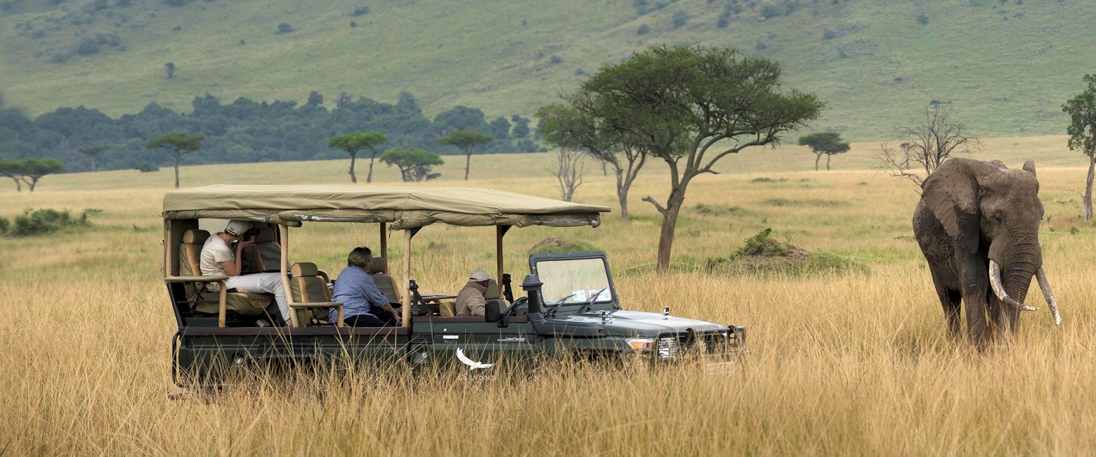 let us know your thoughts about Kenya and we will help you create the perfect safari