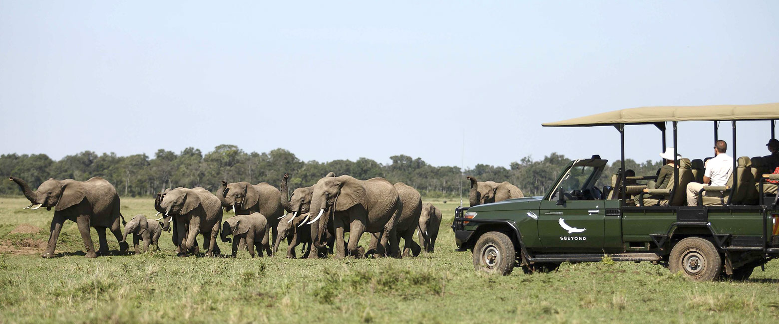let us know your thoughts about Kenya and we will help you create the perfect safari