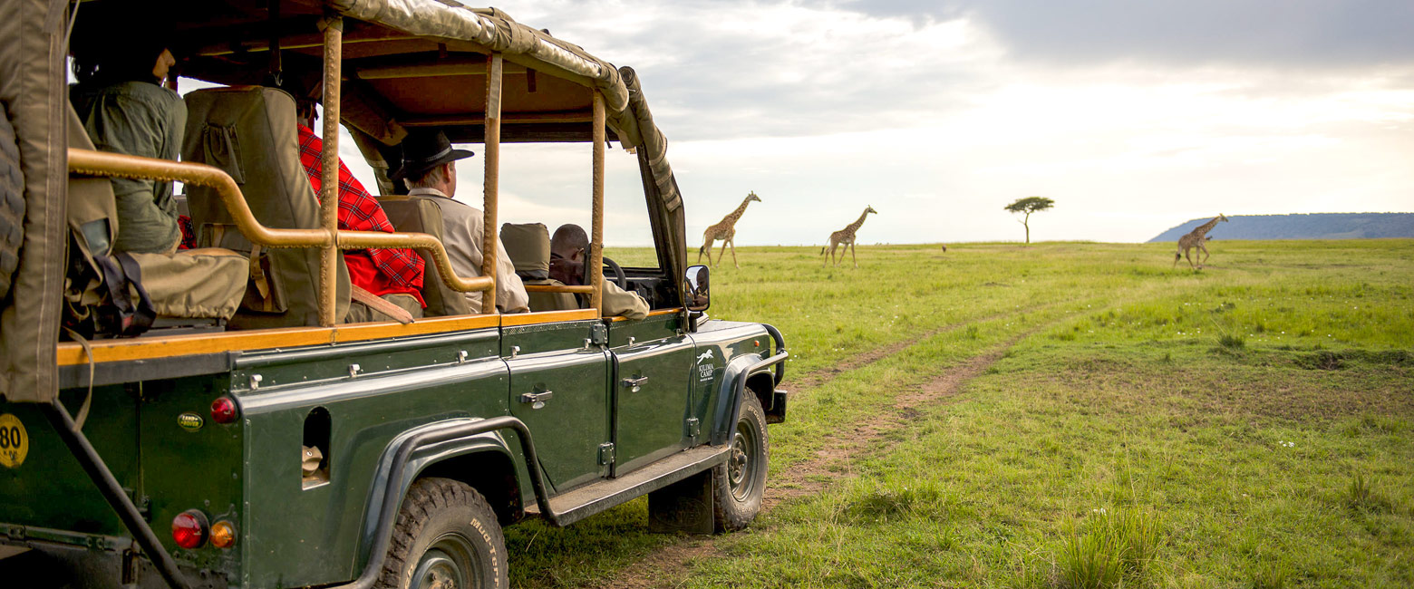 let us know your thoughts about Kenya and we will make sure to deliver the perfect safari 