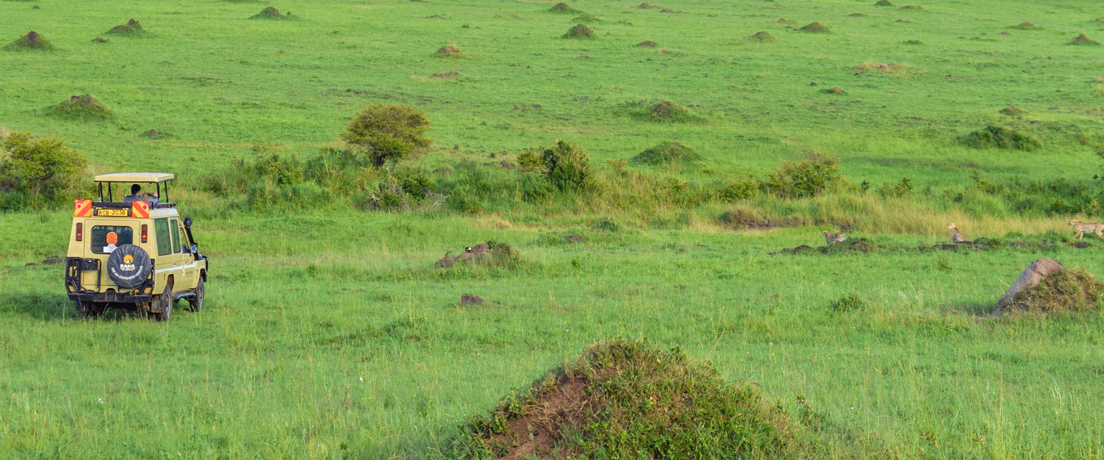 let us know your thoughts about Kenya and we will help you create the perfect safari