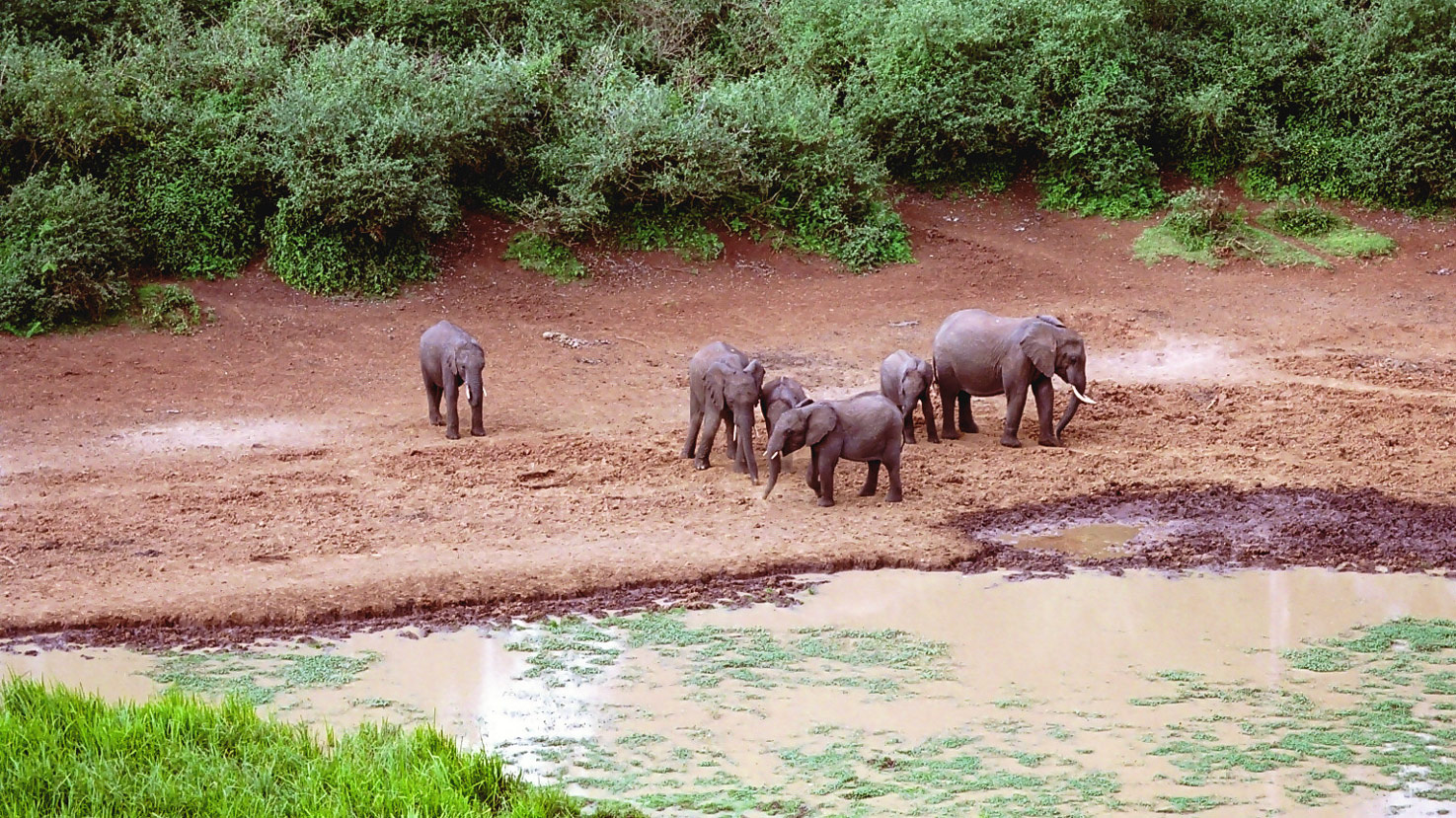 Maralal Safari Lodge