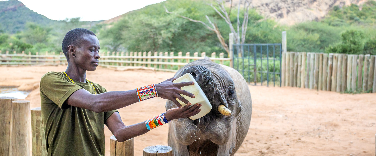 let us know your thoughts about Kenya and we will help you create the perfect safari
