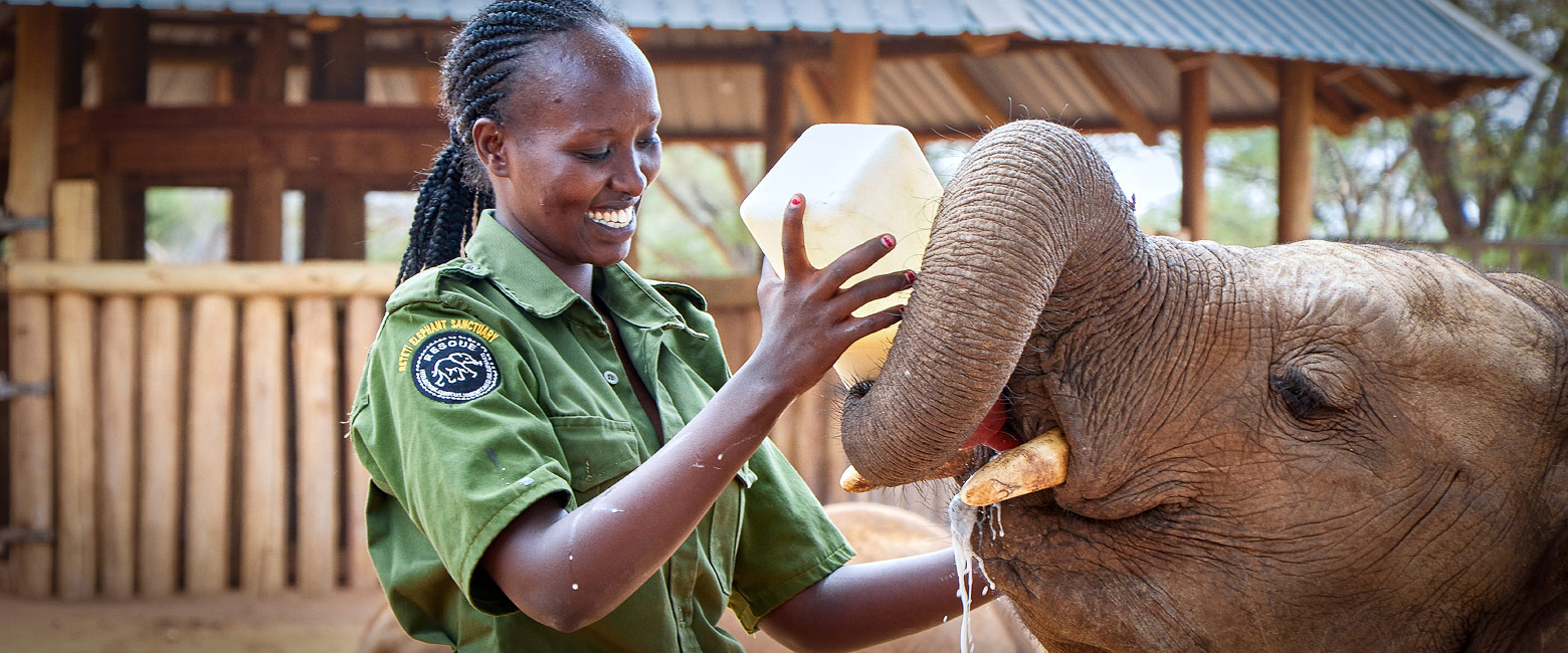 let us know your thoughts about Kenya and we will help you create the perfect safari