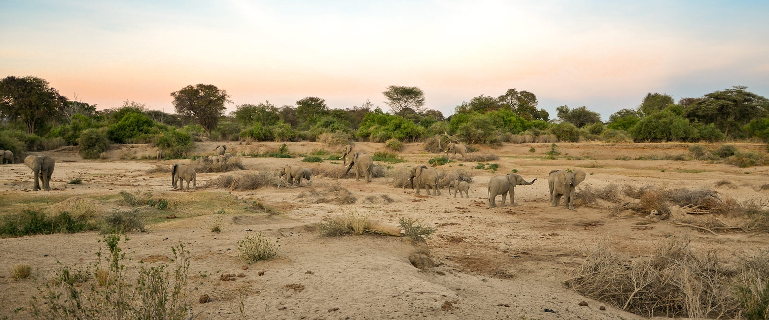 let us know your thoughts about Kenya and we will help you create the perfect safari