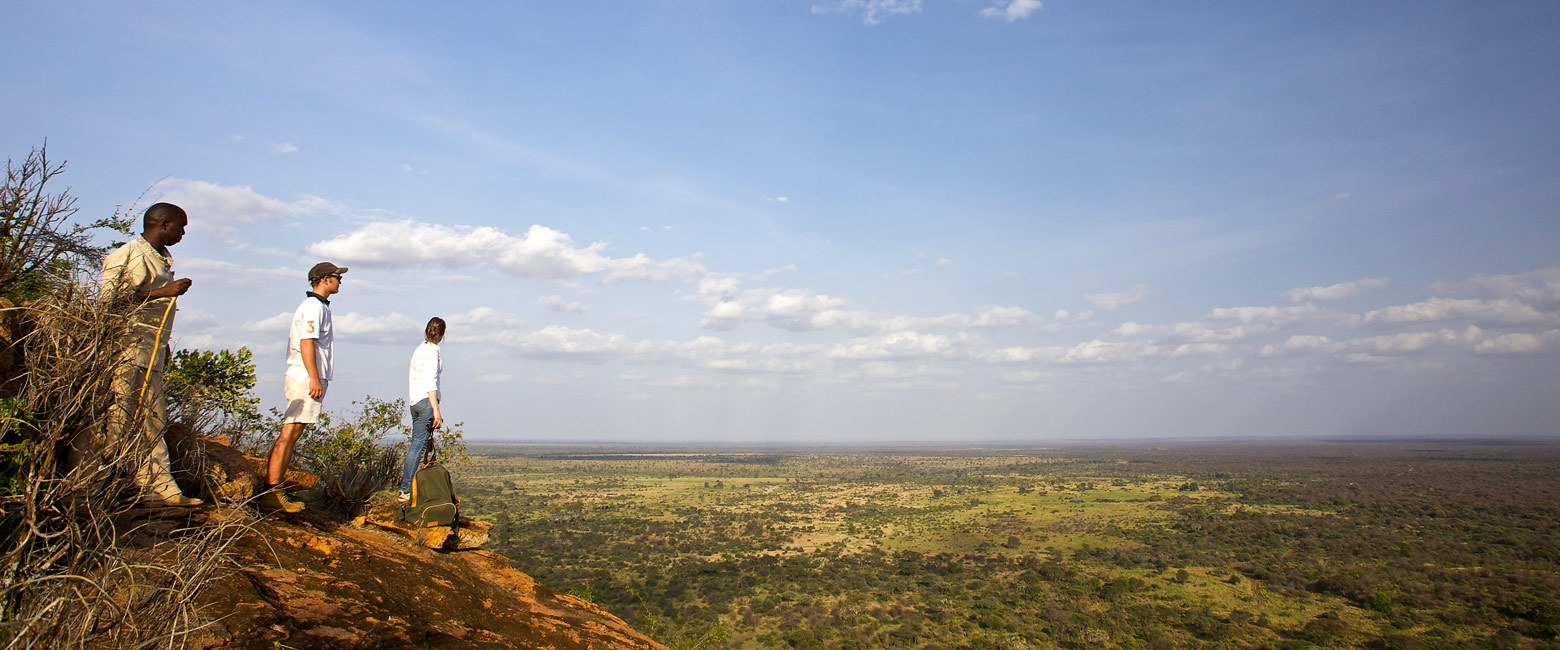 let us know your thoughts about Kenya and we will help you create the perfect safari 