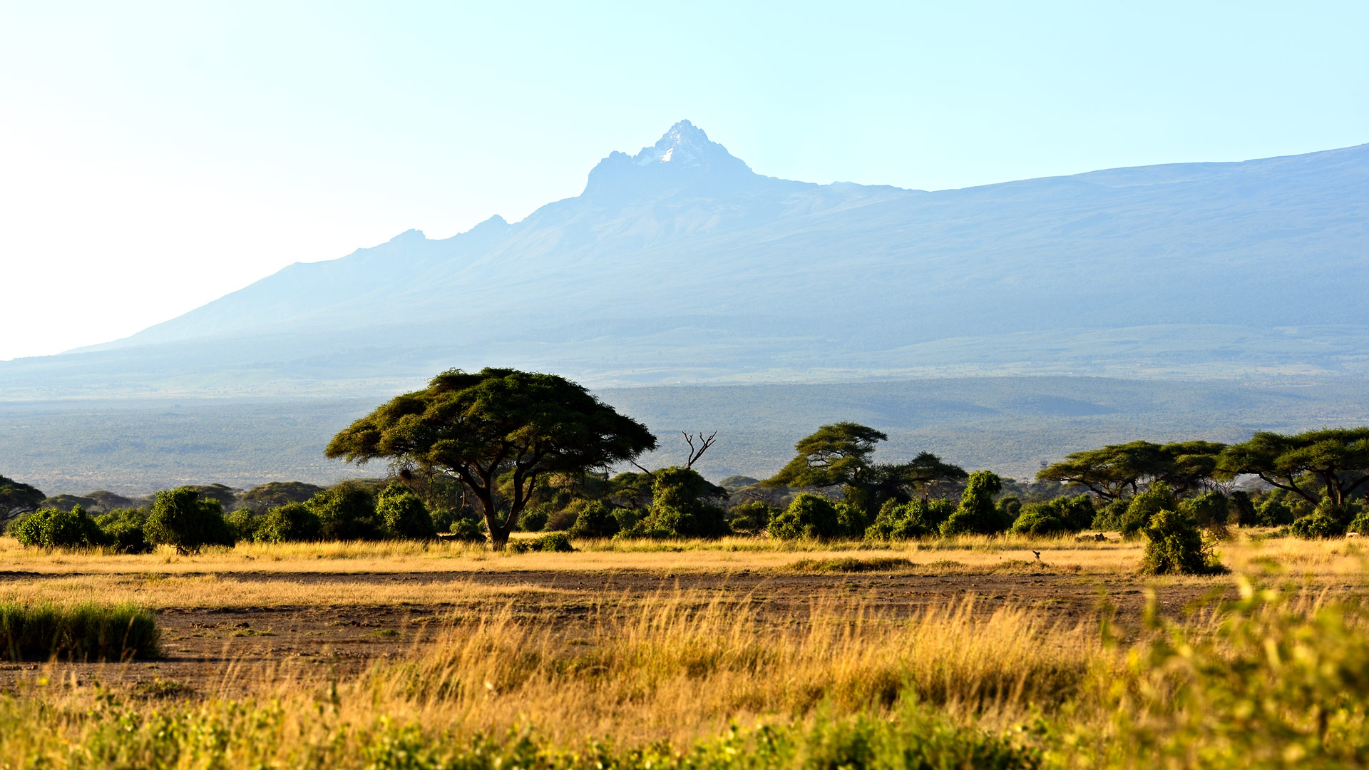 Safari to Mount Kenya