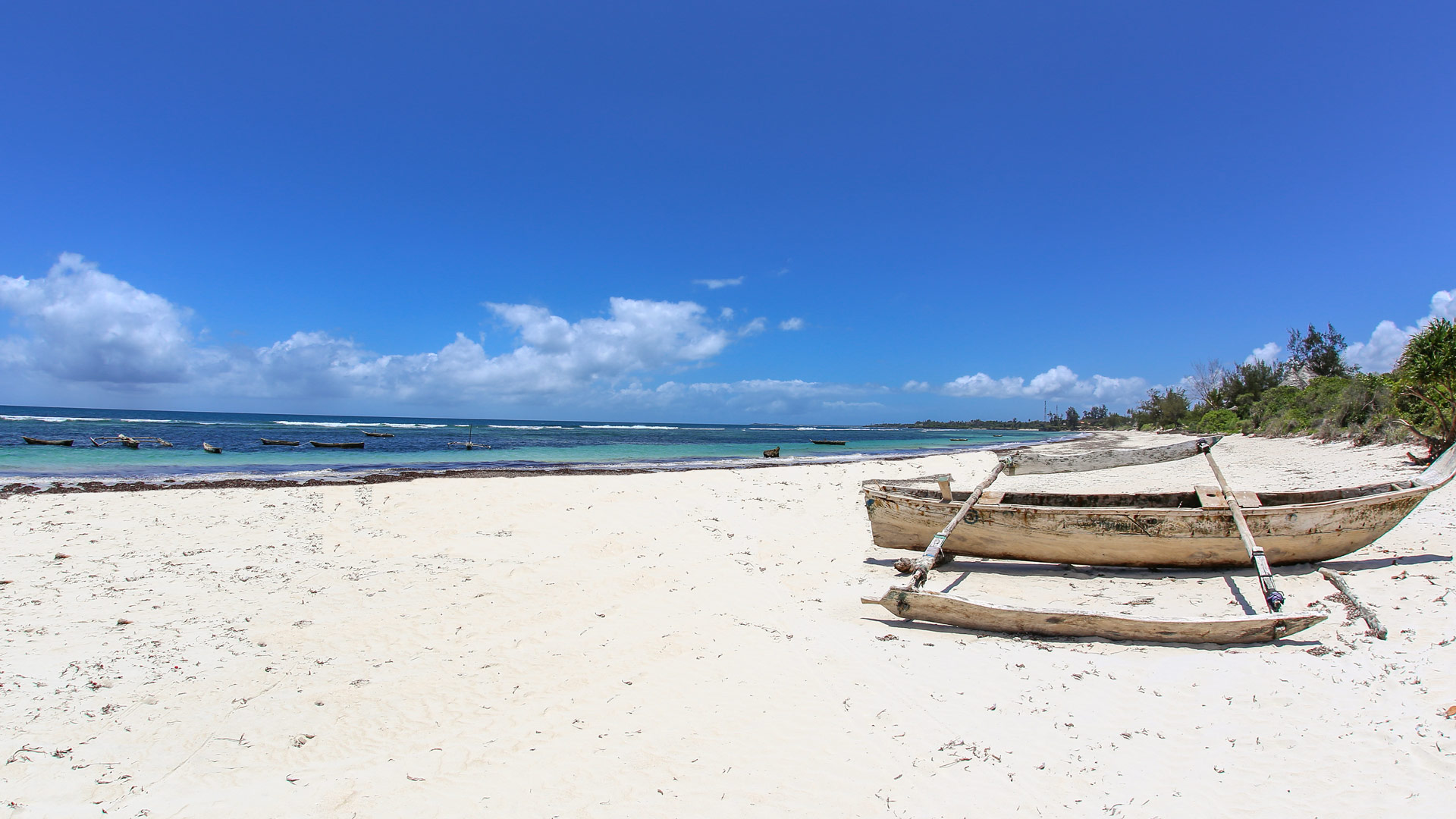 Travel to Msambweni