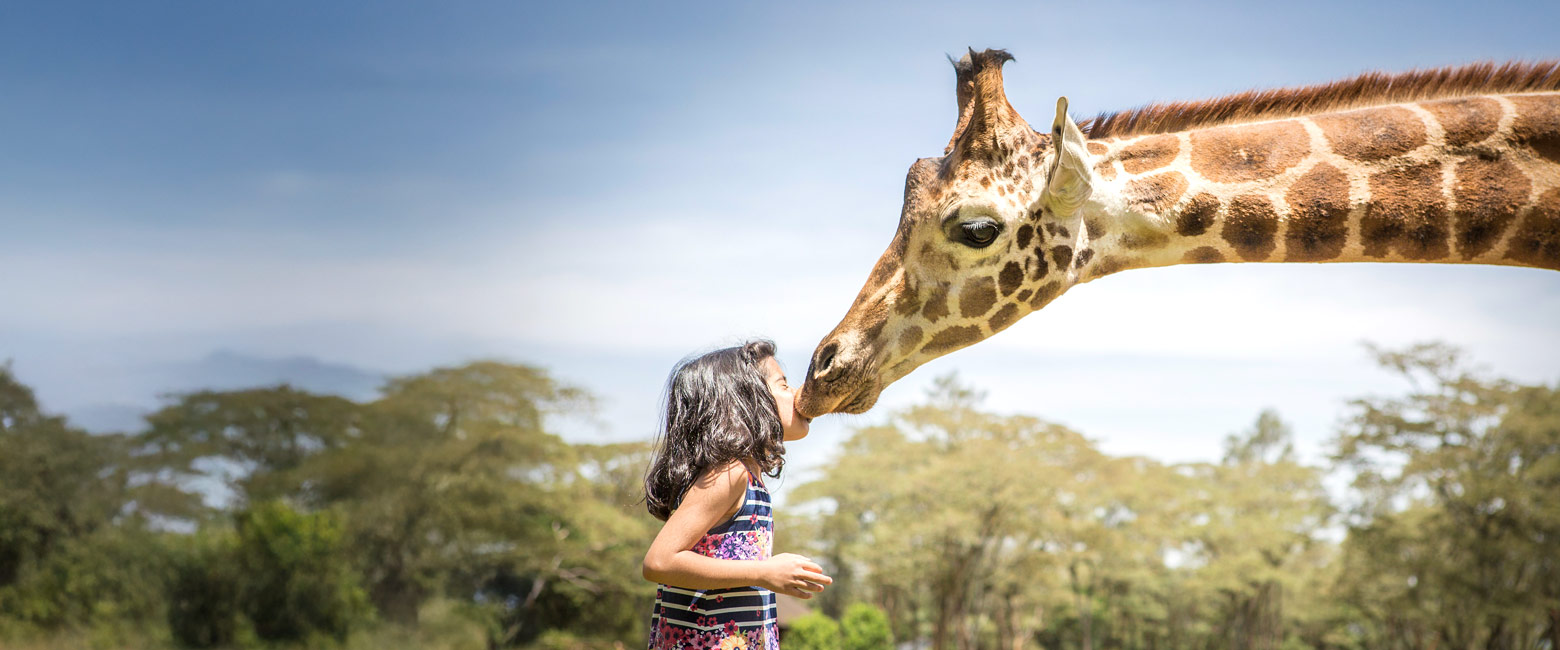 let us know your thoughts about Kenya and we will help you create the perfect safari