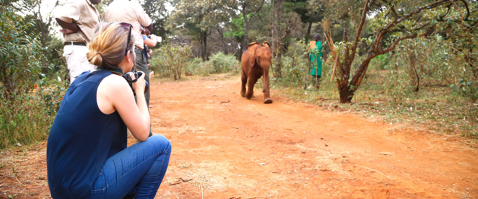 let us know your thoughts about Kenya and we will help you create the perfect safari