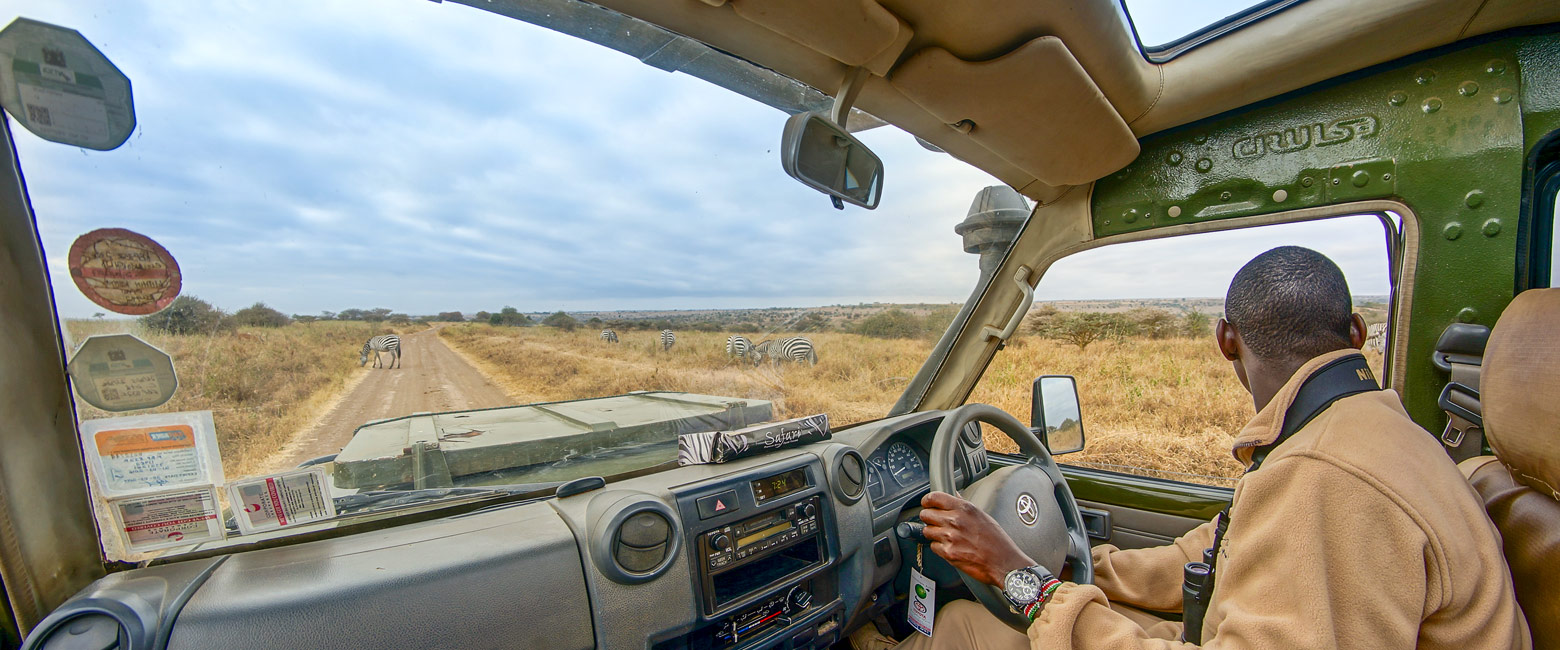 let us know your thoughts about Kenya and we will help you create the perfect safari 