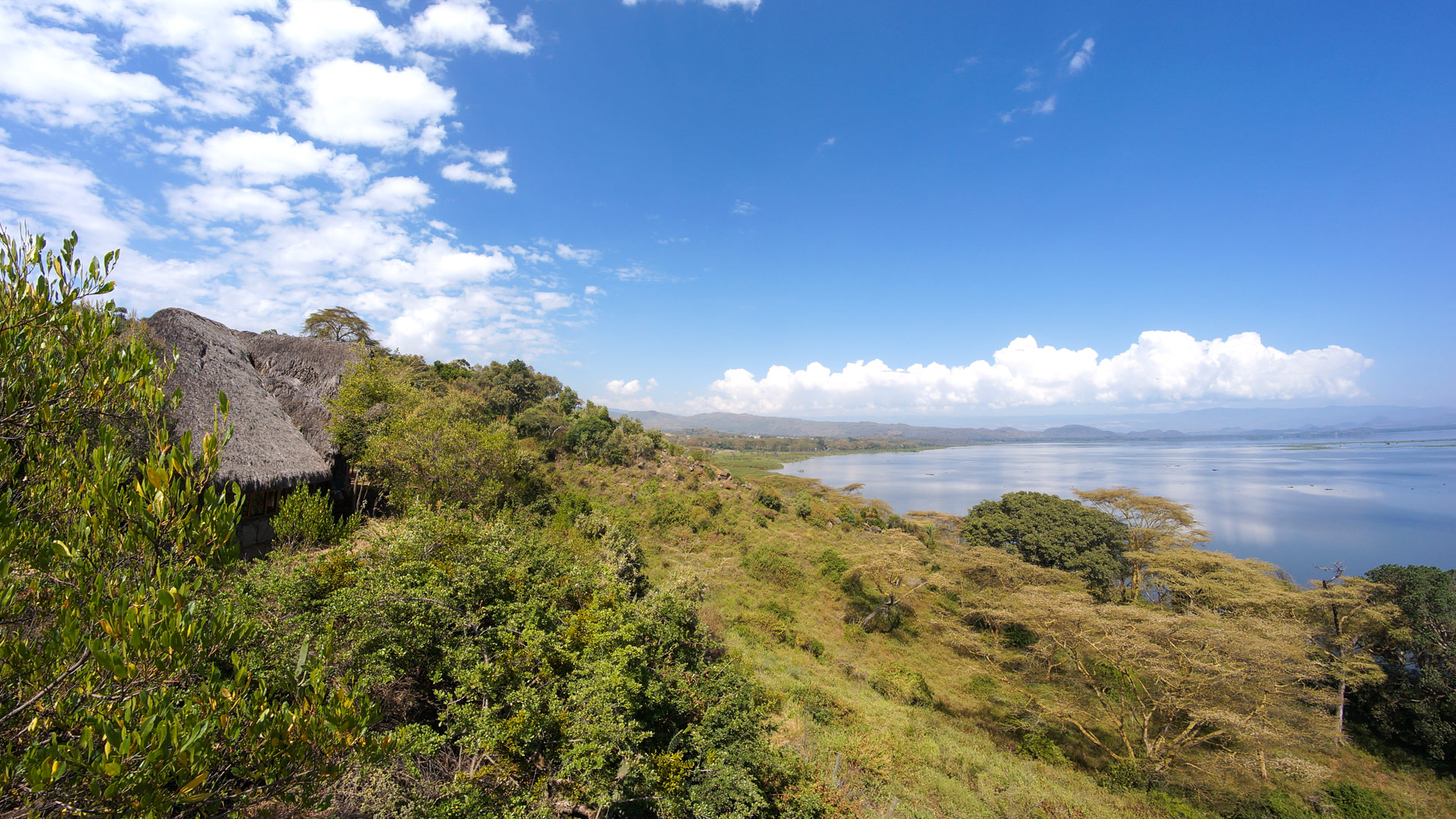Safari to Lake Naivasha