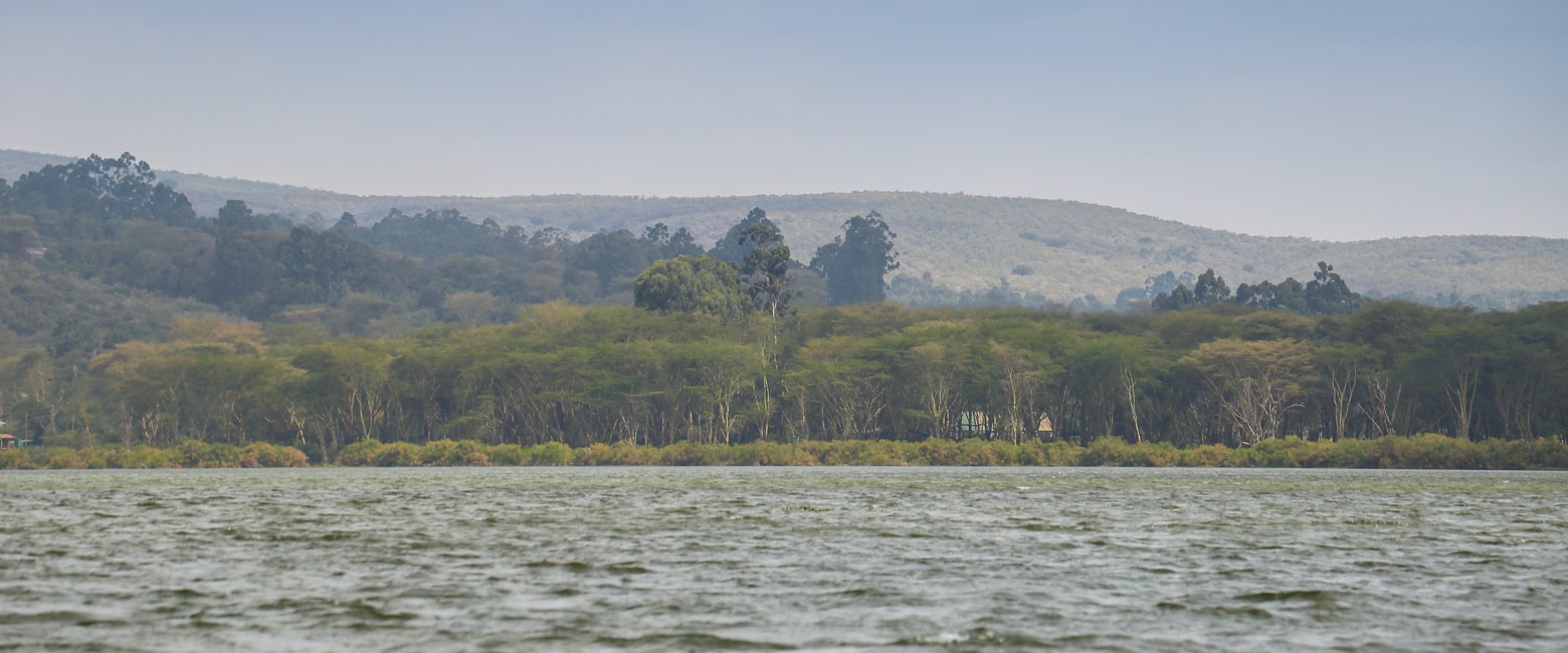 let us know your thoughts about Kenya and we will make sure to deliver the perfect safari 