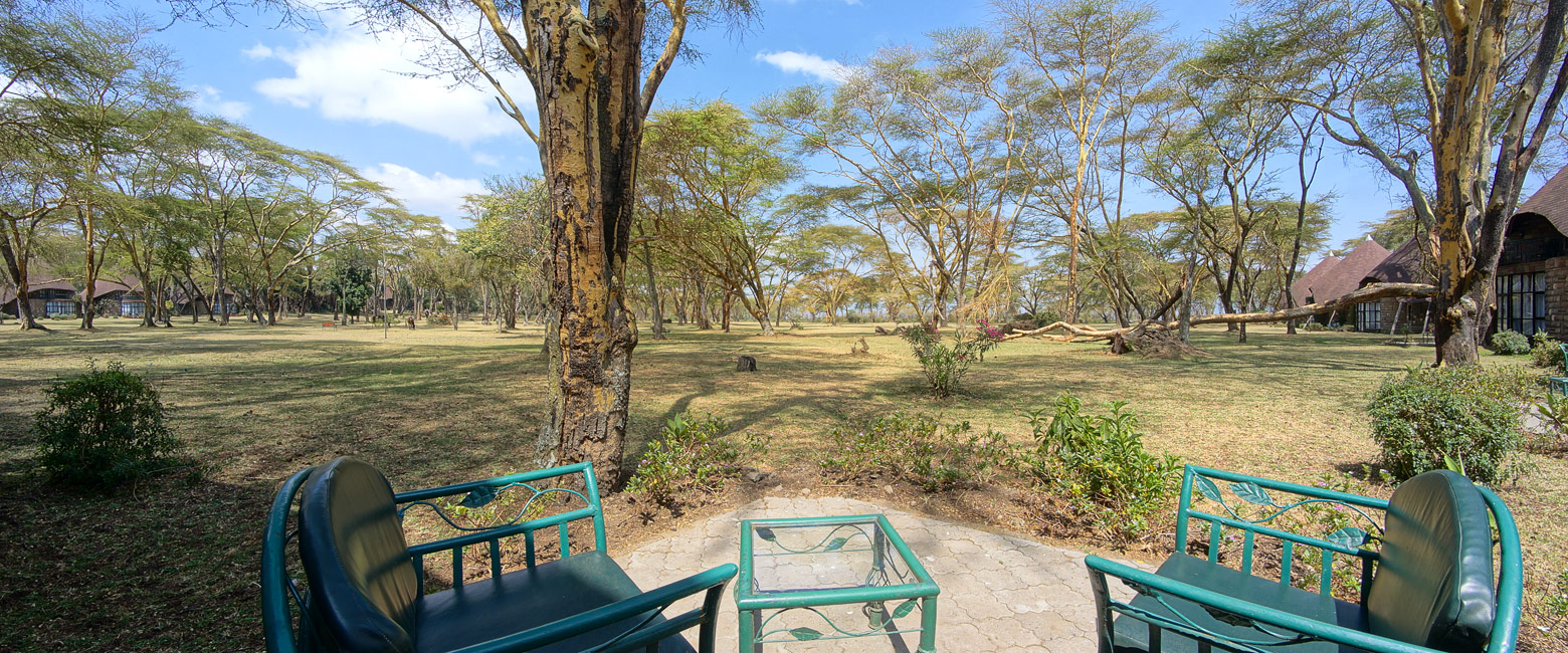 let us know your thoughts about Kenya and we will make sure to deliver the perfect safari