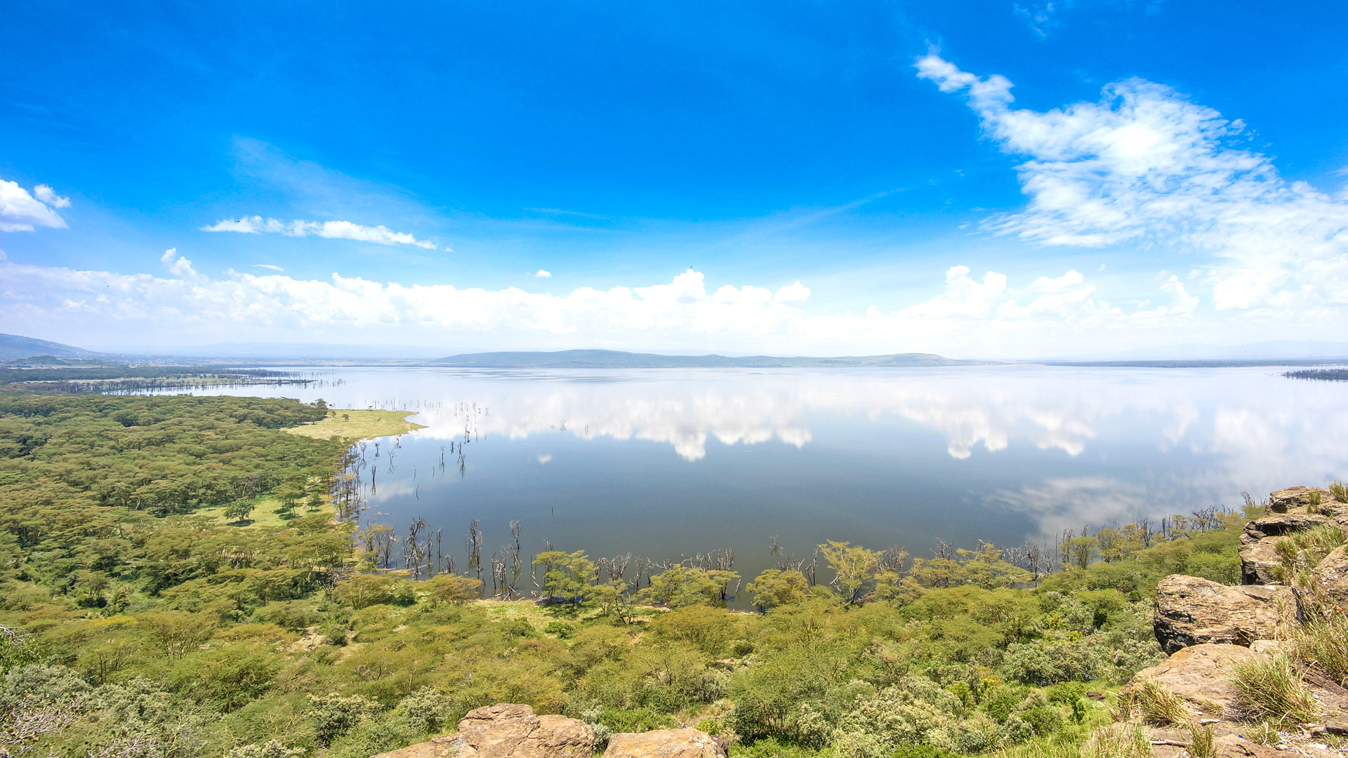 Safari to Lake Nakuru