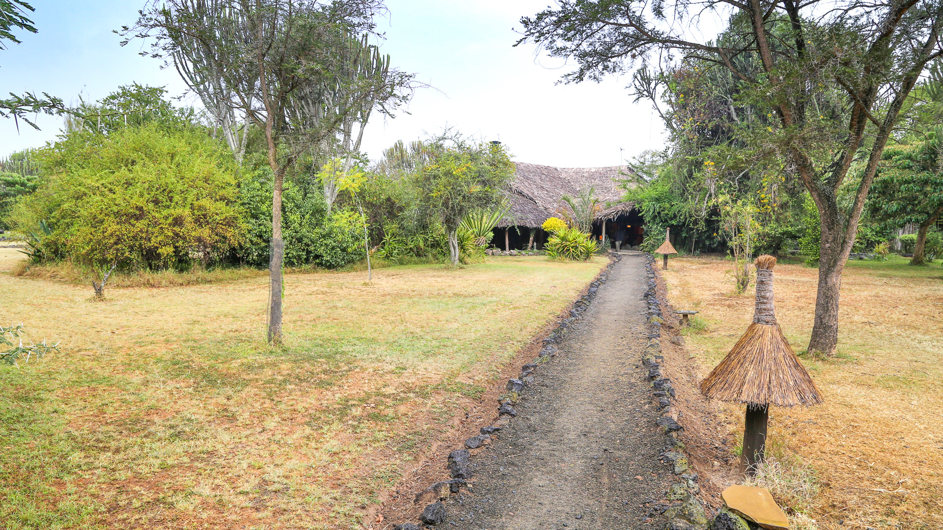 Mbweha Camp