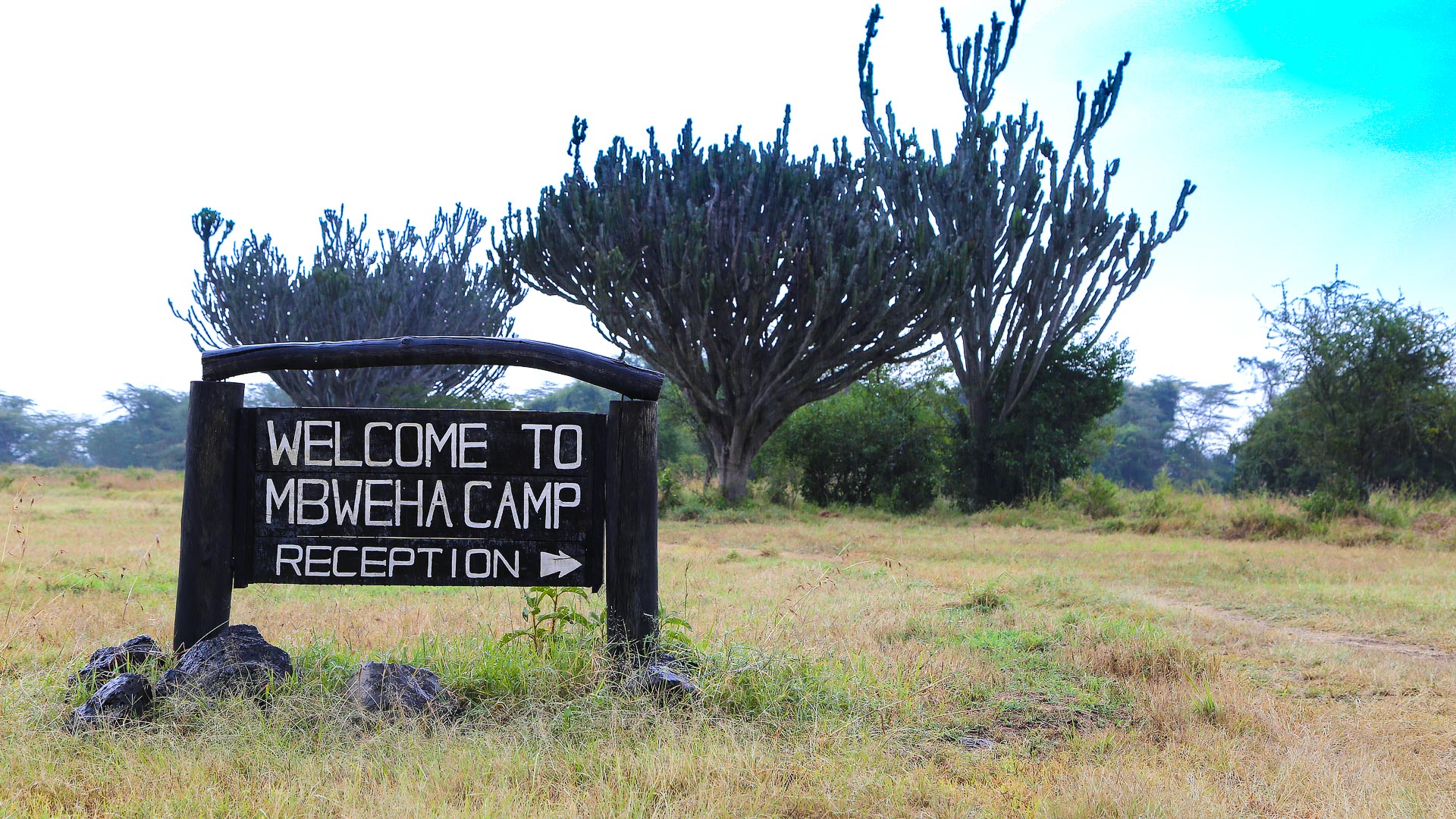 Mbweha Camp - ATR