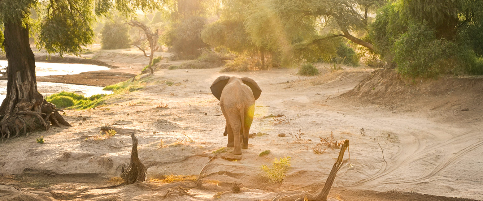 is an iconic and hypnotic reserve in the arid north of Kenya 