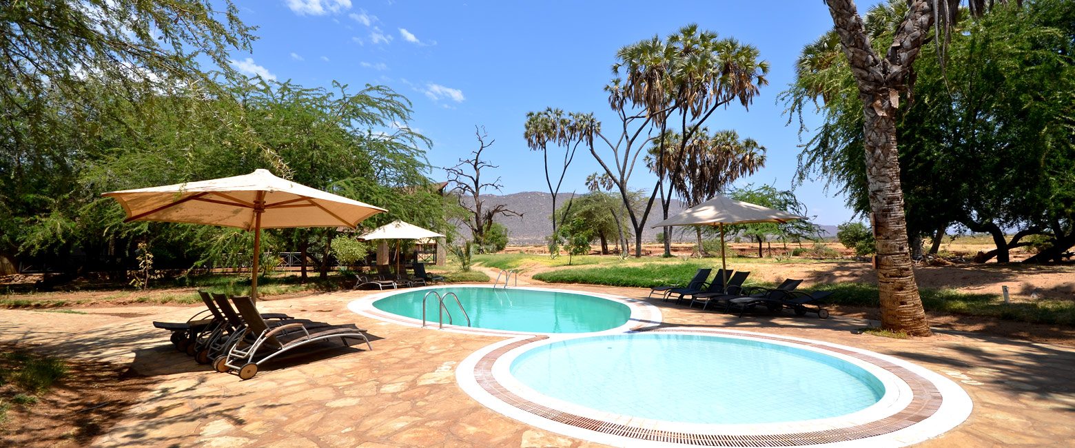 let us know your thoughts about Kenya and we will help you create the perfect safari 