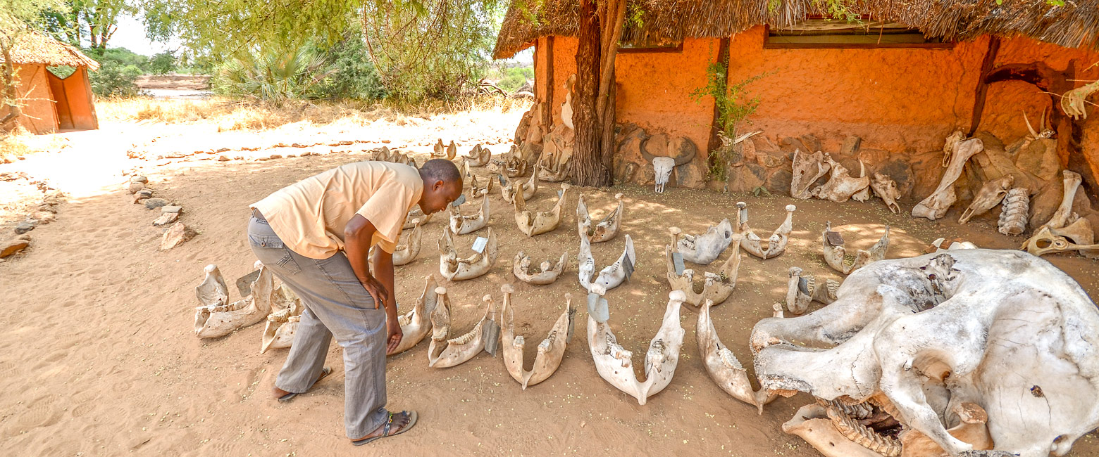 let us know your thoughts about Kenya and we will help you create the perfect safari 