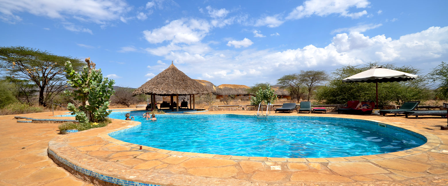 let us know your thoughts about Kenya and we will make sure to deliver the perfect safari 