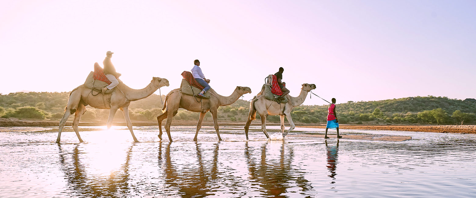 let us know your thoughts about Kenya and we will help you create the perfect safari 