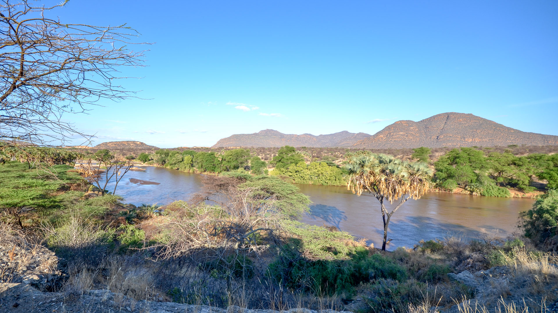 Safari to Shaba