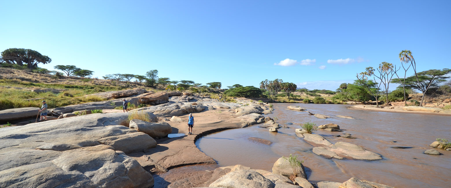 let us know your thoughts about Kenya and we will help you create the perfect safari 