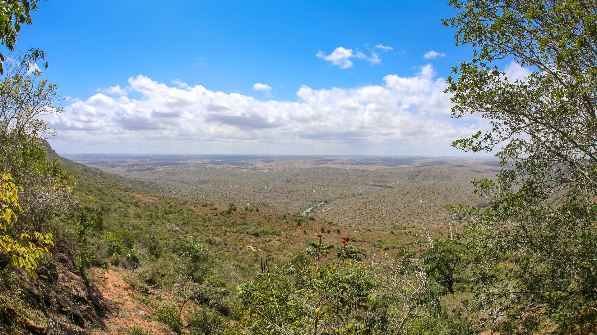 Safari to Shimba Hills