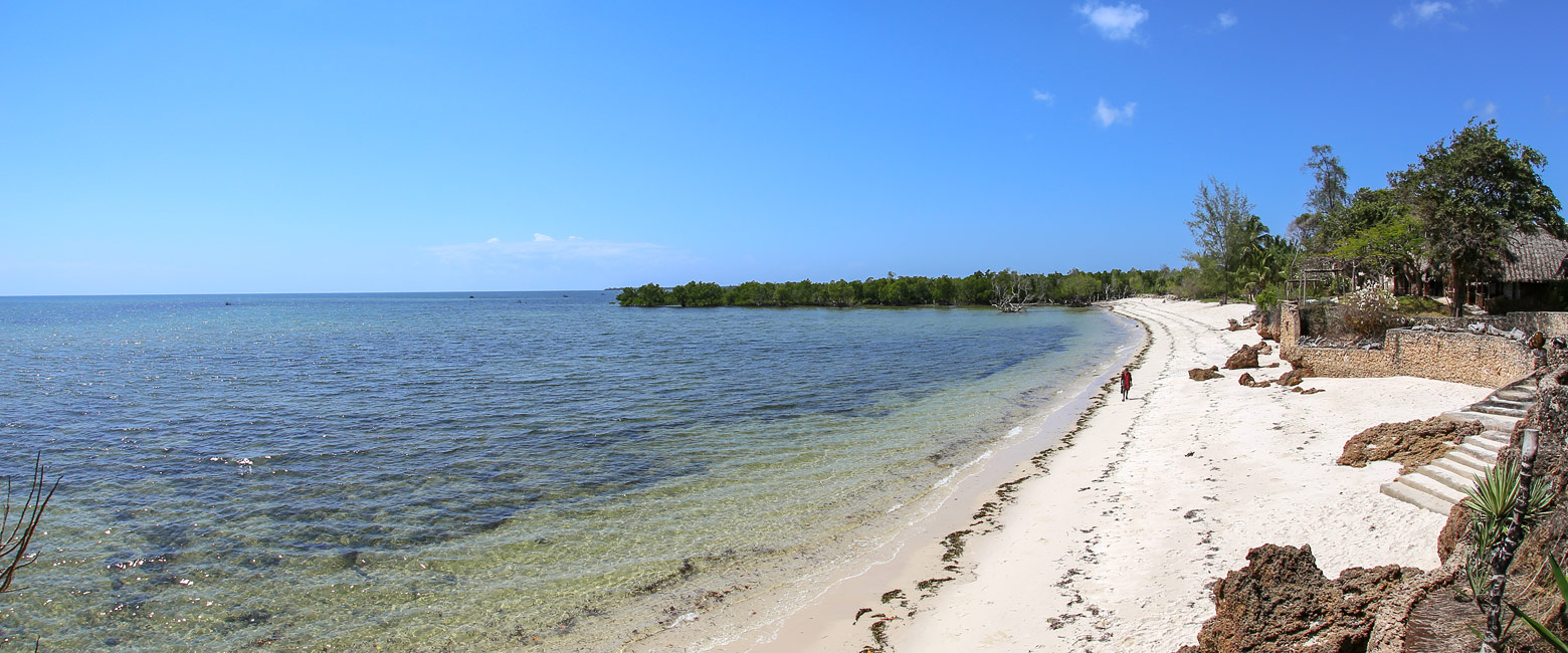 Coastal landscape near Shimoni