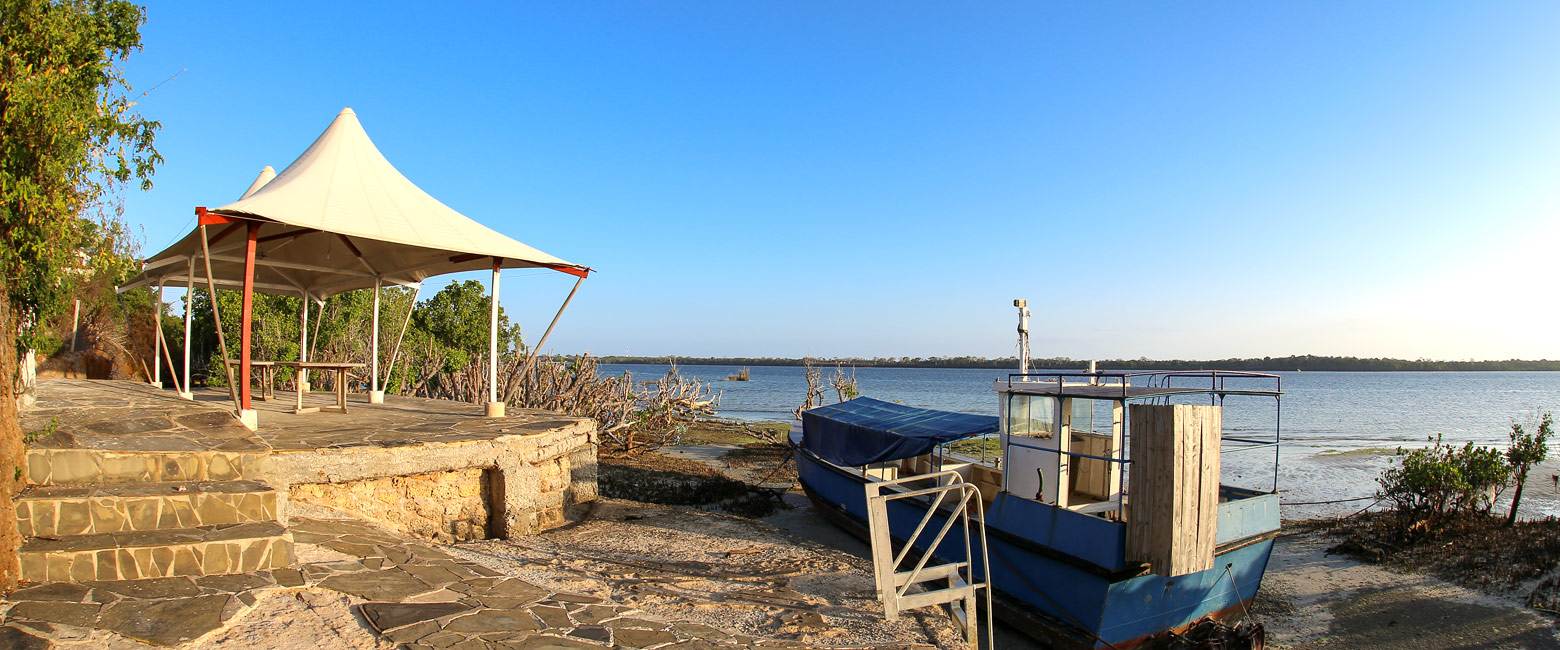 let us know your thoughts about Kenya and we will help you create the perfect safari 