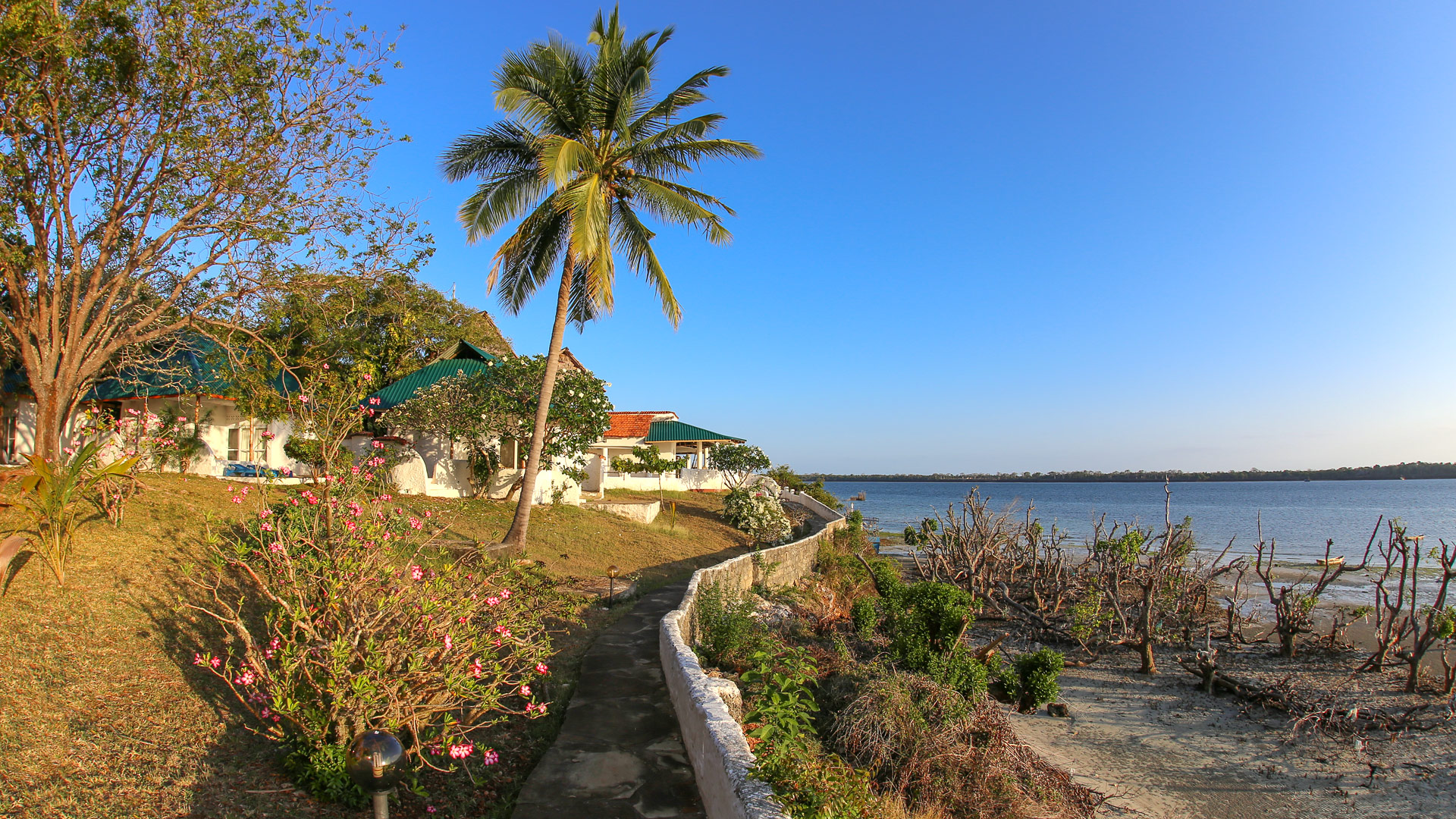 Shimoni Reef Lodge