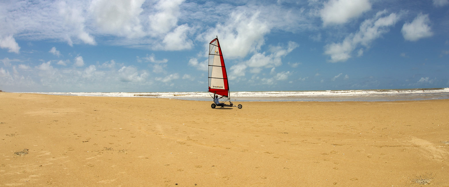 let us know your thoughts about Kenya and we will help you create the perfect safari 