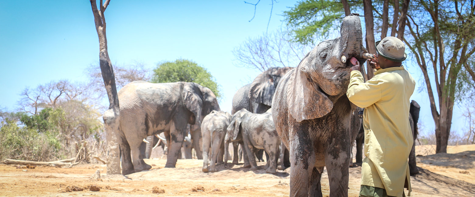 let us know your thoughts about Kenya and we will help you create the perfect safari
