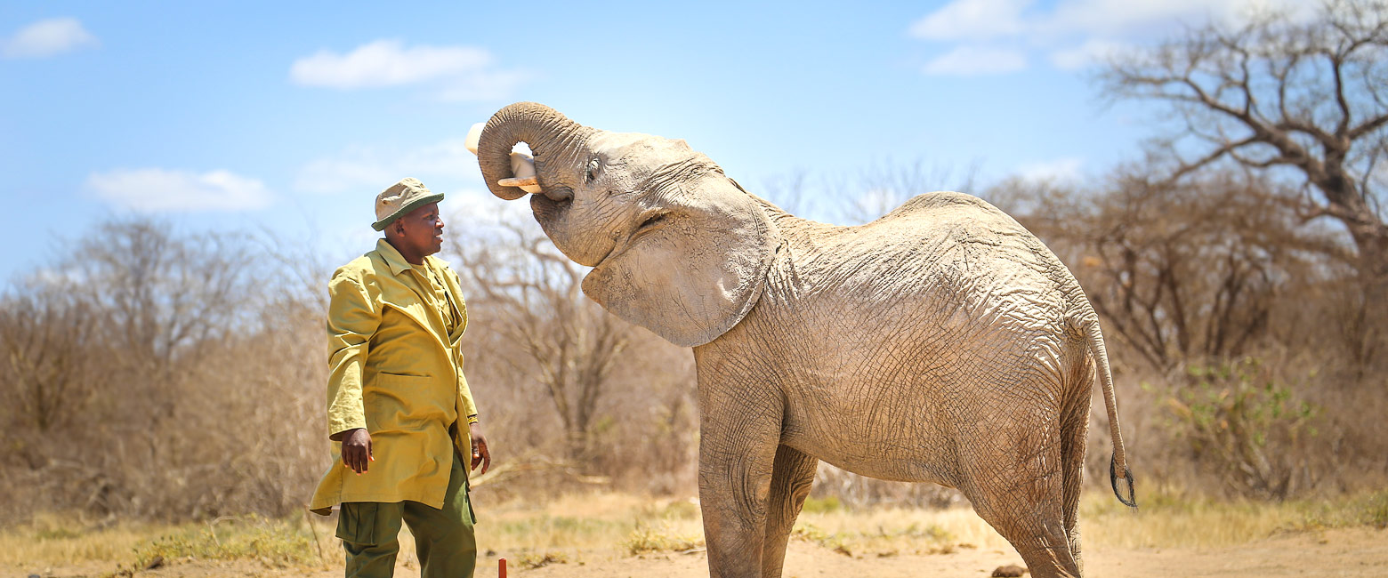 let us know your thoughts about Kenya and we will help you create the perfect safari