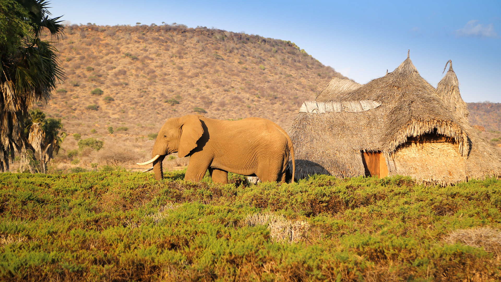 Little Galdessa Camp